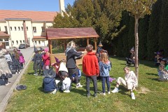 IMG_20260429_131957