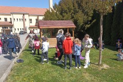 IMG_20260429_132003