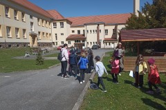 IMG_20260429_132006