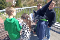 IMG_20260429_133455