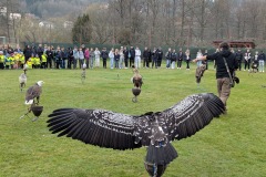 PXL_20250402_080632303.MP1_