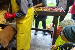 IMG_20241003_095942715_HDR