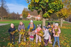 20251031_140116_resized