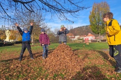 20251031_141255_resized