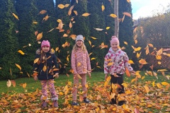 20251104_140641_resized