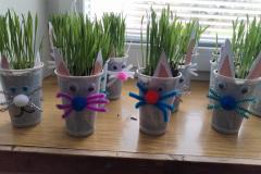 IMG_20250407_120249