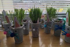 IMG_20250407_120257